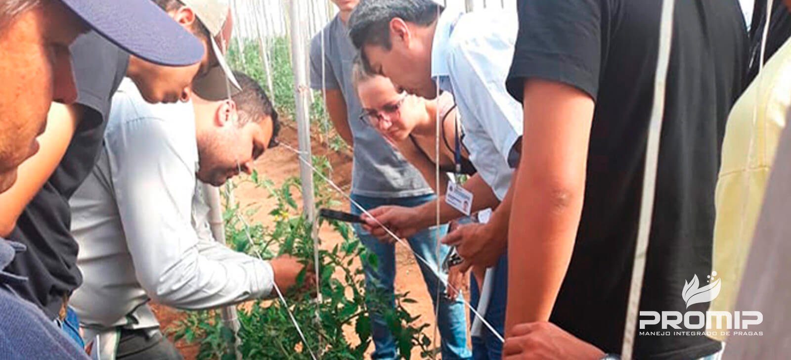 PROMIP realiza treinamentos em manejo integrado de pragas a produtores da região de Marília