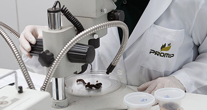 promip manejo integrado pragas controle biologico mip experience spodoptera frugiperda laboratorios promip mobile 1