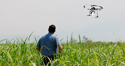 promip manejo integrado de pragas controle biologico agricultor visionario drone mobile