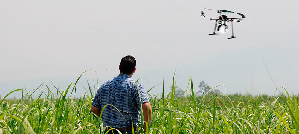 promip manejo integrado de pragas controle biologico agricultor visionario drone