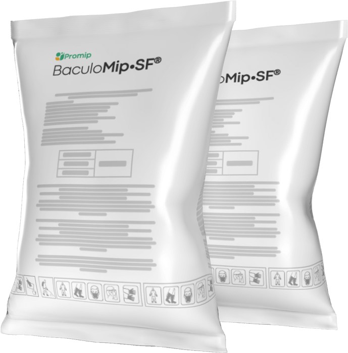 BaculoMip-Bag-Exibição-atual